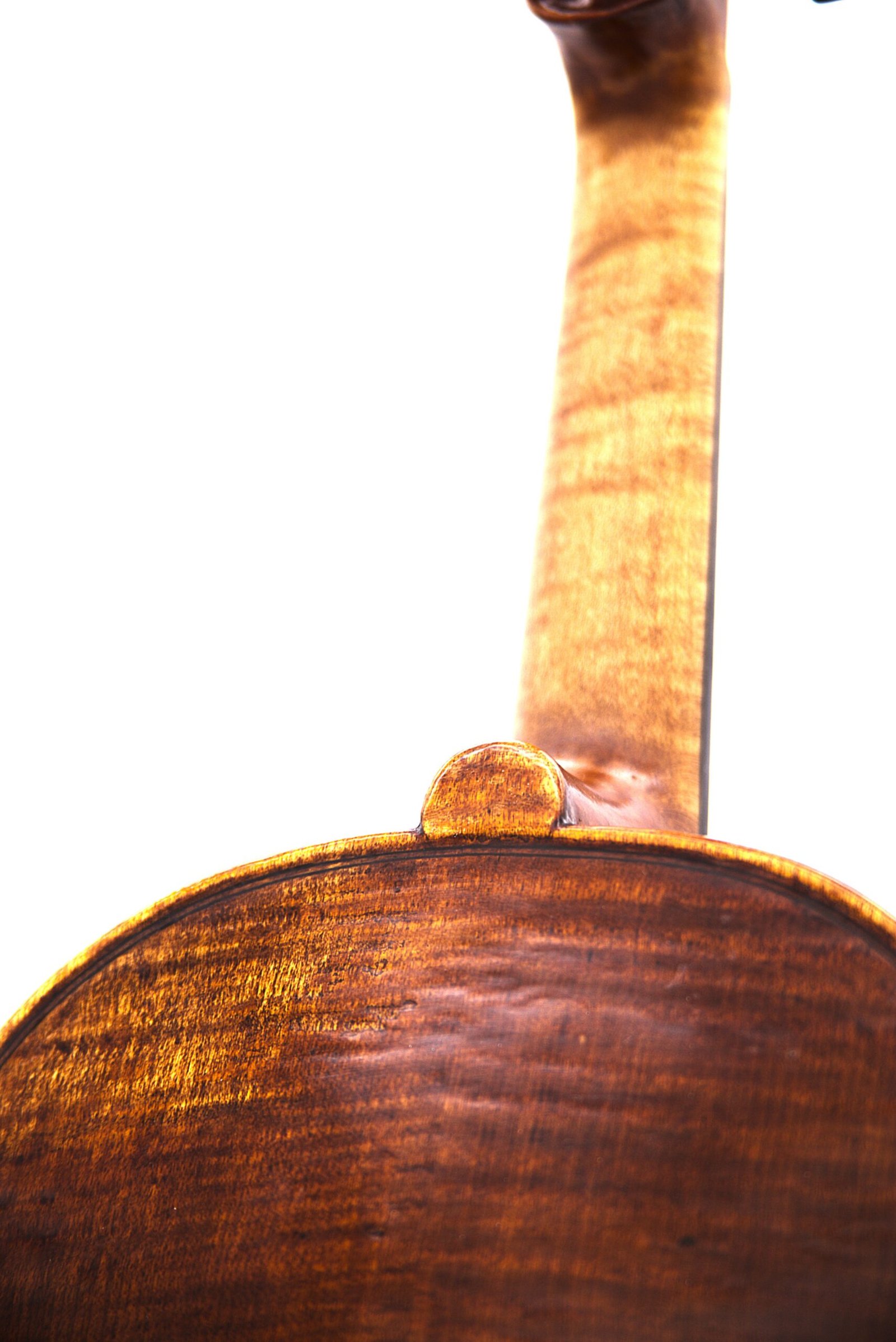 Varnish Detail