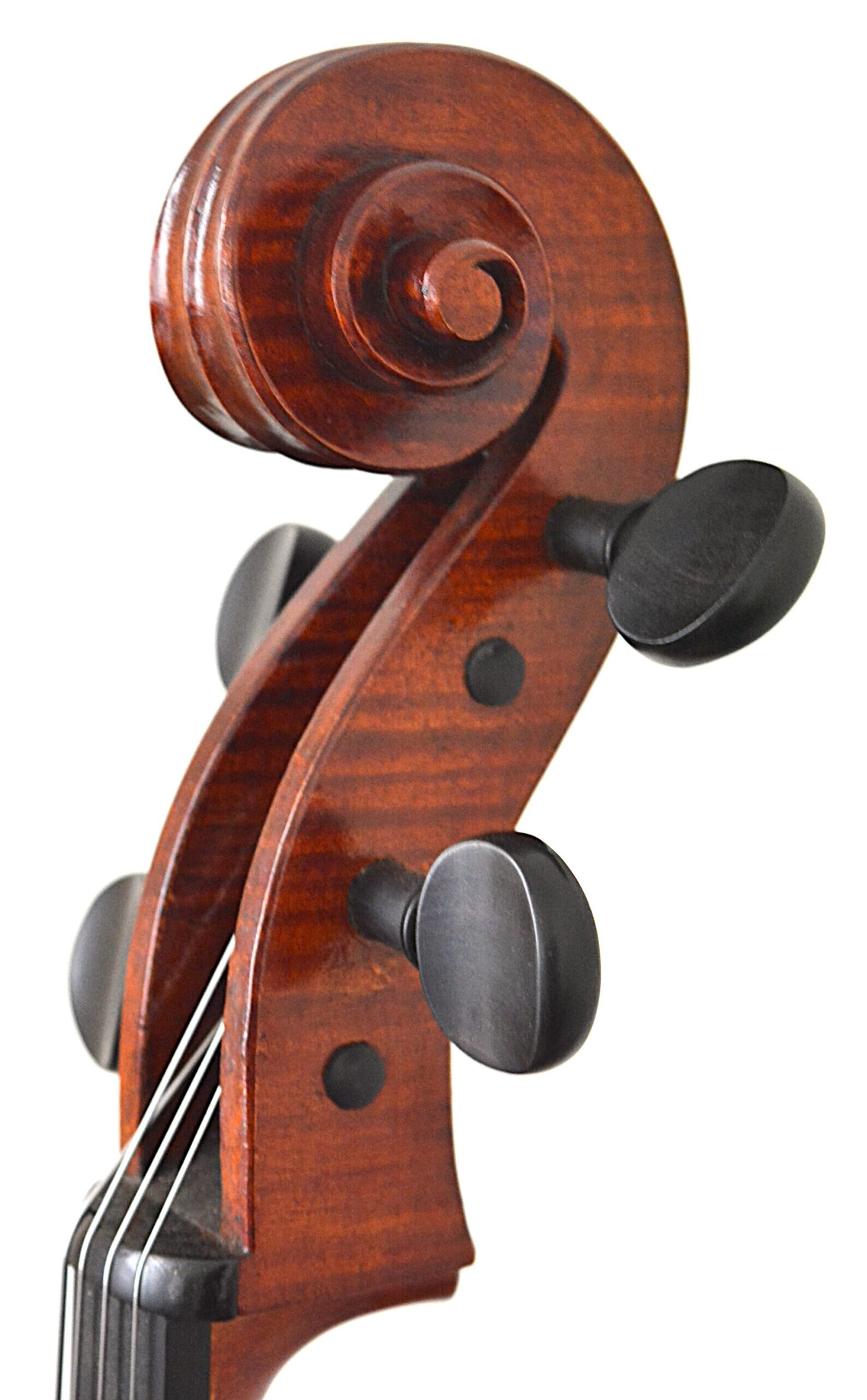 Cello Scroll