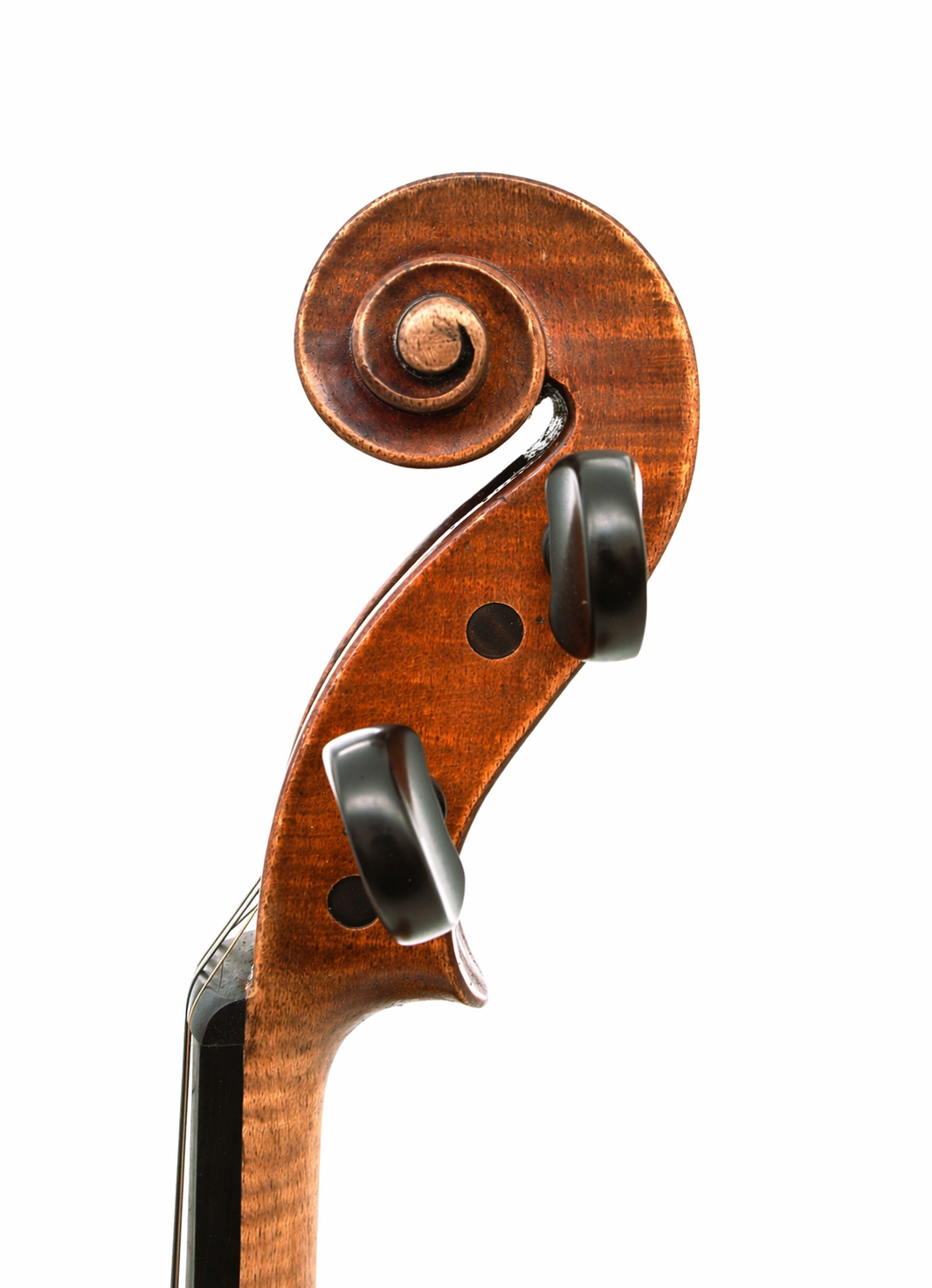 Violin Scroll