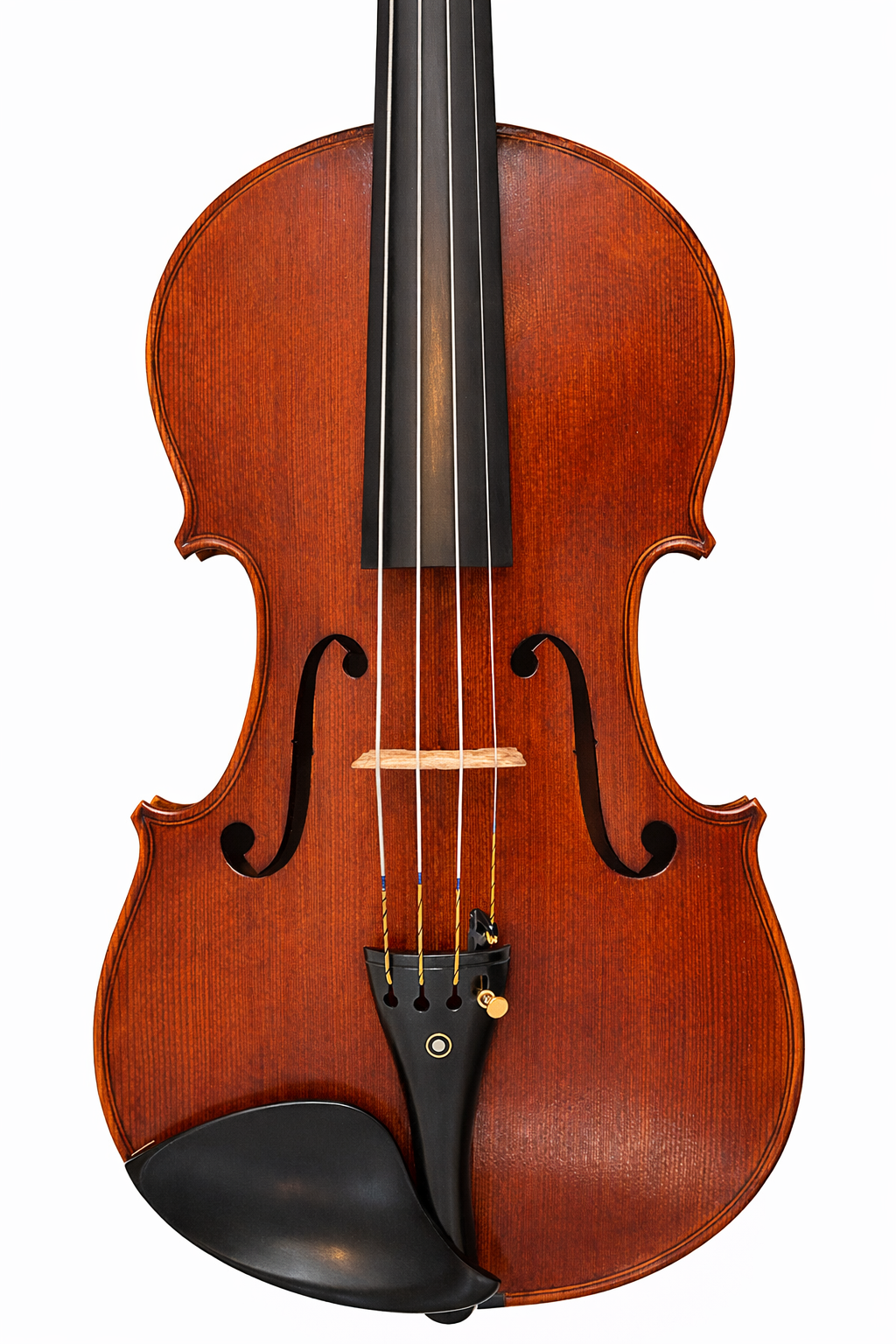 Viola Front 